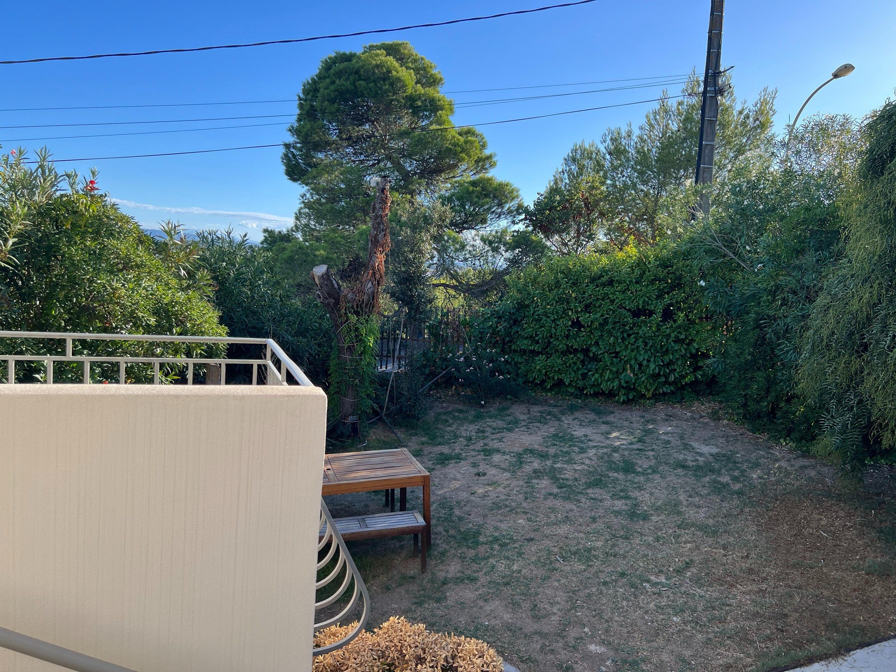 A backyard with a wooden table and bench, surrounded by dense greenery and a tall tree.