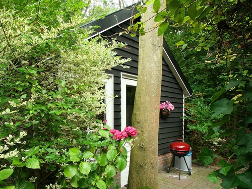 Charming Holiday Home in Veere Near Forest