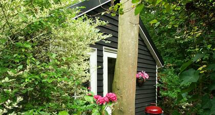 Charming Holiday Home in Veere Near Forest