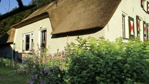 Ett traditionellt hus med ett halmtak, ett väl synligt fönster med fönsterluckor och en trädgård med blommande växter.