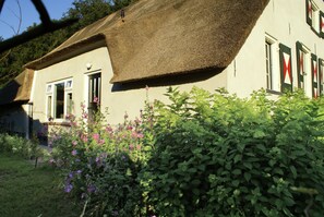 Exterior - Peaceful Farmhouse in Doorn near Forest (Doorn)