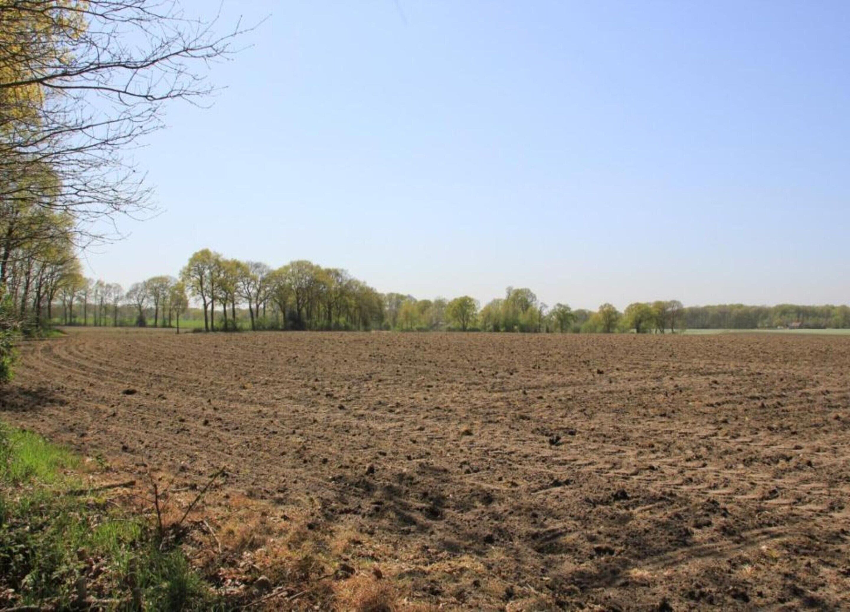 A vast, open field with a clear sky and a line of trees in the distance.