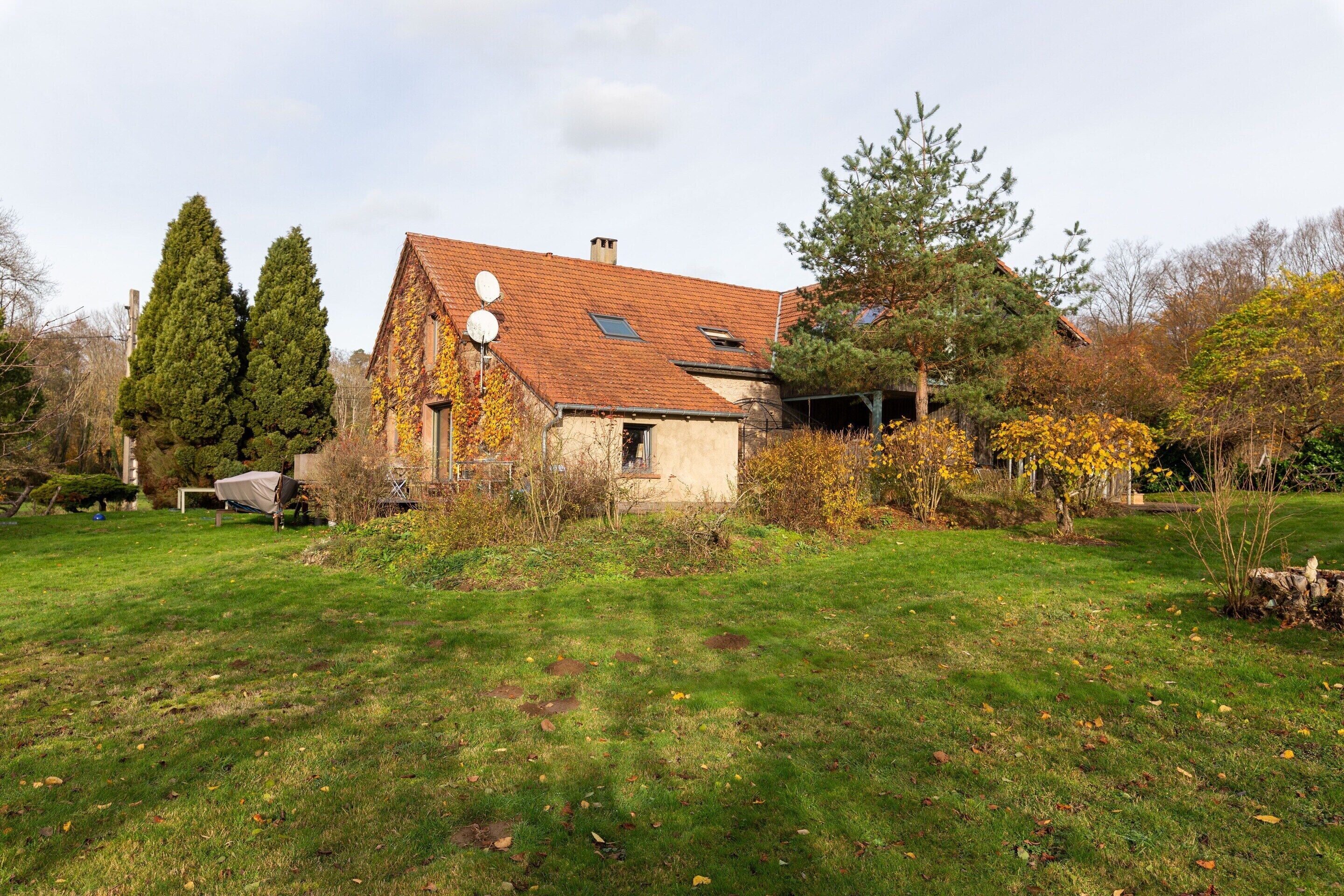 House | Garden