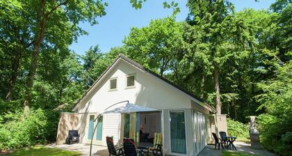 Superb Villa in the Woods of Gaasterland With Wifi and Fireplace