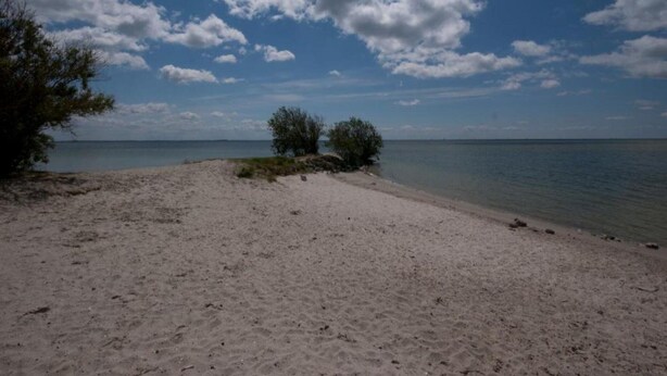 A sandy beach with sparse vegetation and a calm sea under a partly cloudy sky. - Superb Villa in the Woods of Gaasterland With Wifi and Fireplace (Oudemirdum)