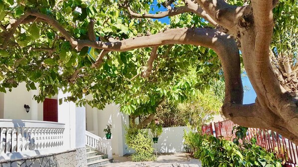 المنطقة المحيطة بالمنشأة