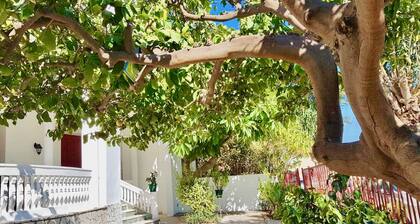 The Metropolis Residence Rhodes