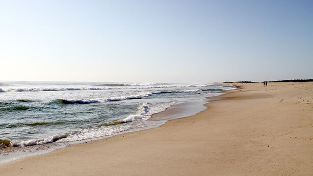 A wide sandy beach with gentle waves, a clear sky, and a few distant people. - Pochet Association - Nauset Beach Access - Central Air (2161) (Orleans)