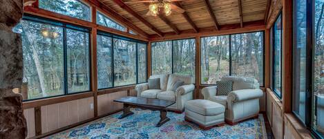 TV, fireplace, books