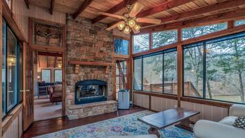 Télévision, cheminée, livres