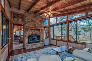 Télévision, cheminée, livres