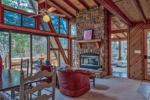 TV, fireplace, books