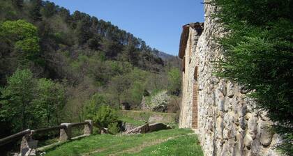 Former Cévennes silkworm farm surrounded by 5 hectares of private land