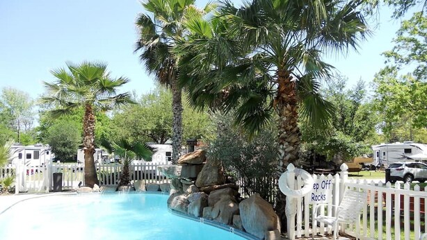 A swimming pool surrounded by palm trees and a white picket fence.