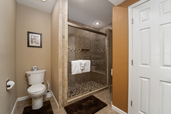 A bathroom with a toilet, a shower with a glass door, and a white door.