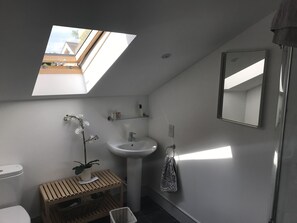 Hair dryer, towels, toilet paper