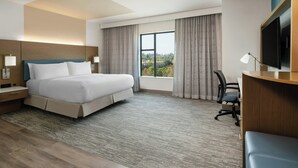 Ein Hotelzimmer mit Bett, Schreibtisch, Stuhl, Fernseher und einem fensterbepflanzten Fenster.