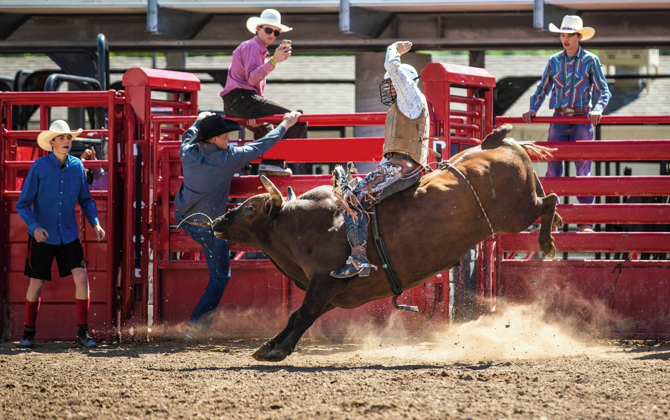 A rodeo event with a bull and rider in action, spectators in the background, and a dirt arena.