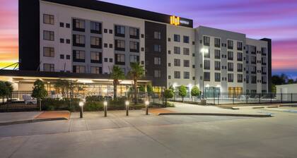 EVEN Hotel Shenandoah - The Woodlands by IHG