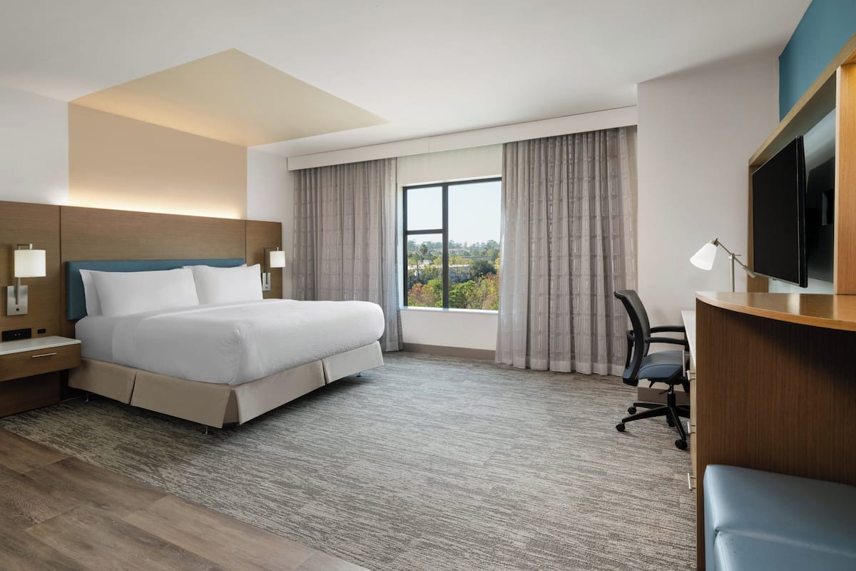 Standard Room, 1 King Bed, Accessible Bathtub (Mobility)