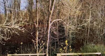 GLAMPING YURT. Sleeps 4, HOT TUB, Pellet Stove
