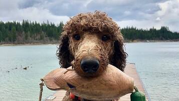 Nær stranden, solsenger og strandhåndklær