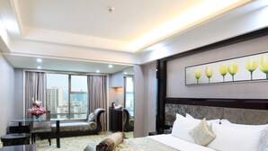 Chambre Affaires, vue fleuve