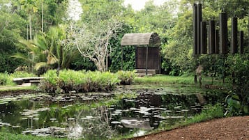 Jardim
