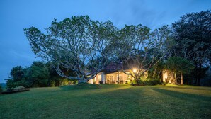 A house with a large tree in front, surrounded by a well-maintained lawn.
