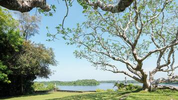 Un gran árbol con vistas despejadas a un lago y una estatua al fondo.