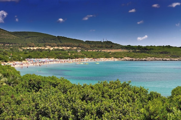 A coastal beach with a clear sky, lush greenery, and a sandy shore.
