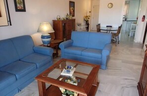 TV, DVD player, books, music library