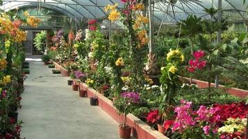 Terrein van de accommodatie