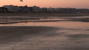 Una playa con una luna creciente en el cielo, un ave volando y edificios al fondo.