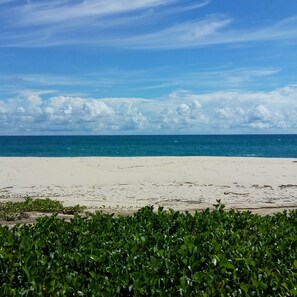 Playa