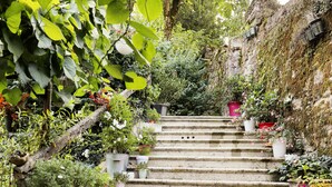 A stone staircase surrounded by lush greenery and potted plants. - Completely renovated studio for 4, downtown Salins Les Bains with garden (Salins-les-Bains)