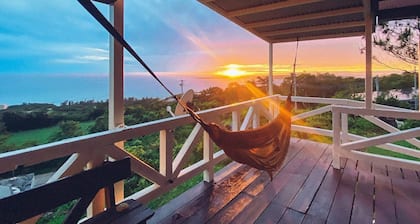 Terrace Suite / Kunigami-gun Okinawa