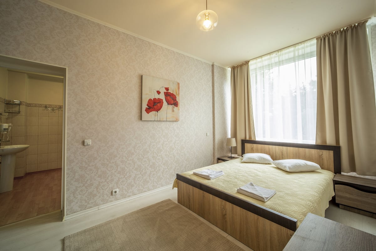A hotel room with a wooden bed, a bedside table, a nightstand, a mirror, a bathroom with a sink, and a window with curtains.