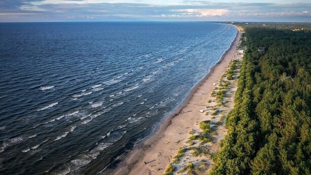 Ett flygbildsbild av en strand med ett skogsområde som ligger intill strandlinjen.