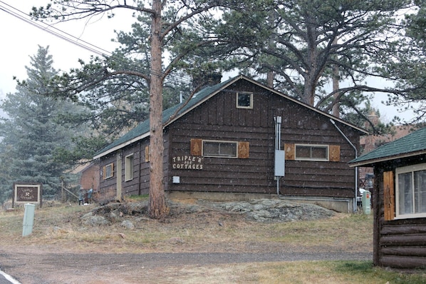 Exteriör
