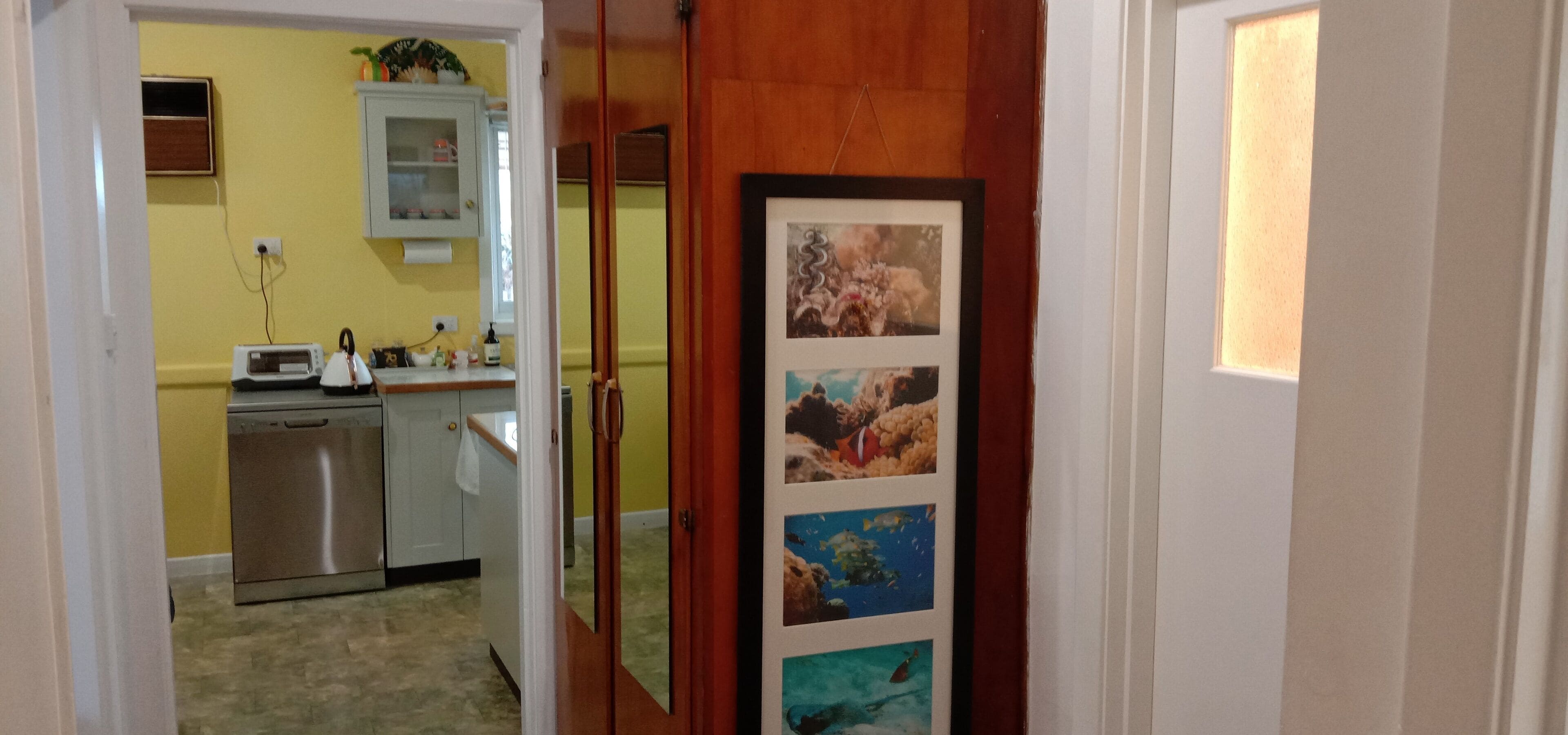 A kitchen with a dishwasher, a microwave, and a cabinet with a plant.