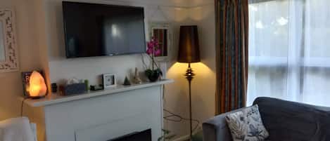 Smart TV, fireplace, books, stereo