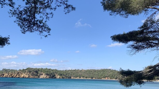 A beach with clear blue water, sandy shore, and trees in the foreground. - NICE HOUSE LOCATED IN THE HEART OF THE VAR  (Draguignan)