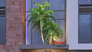 A modern building with a sign reading "Hampton by Hilton" and a large planter with two palm trees. - Hampton by Hilton Torquay (Torquay)