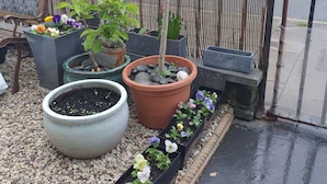 Un jardín con plantas y flores en macetas, un banco de madera y una cerca de metal.