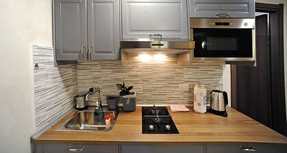 Cozy studio in Turin city center