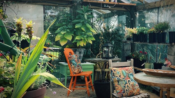 A greenhouse with various plants, a wooden table, chairs, and a hanging chair. - Heron Cottage - Private & Quaint (Panama City)