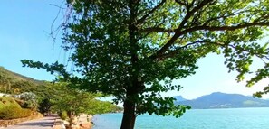 Ein gepflasterter Weg entlang eines Gewässers, im Vordergrund ein Baum.