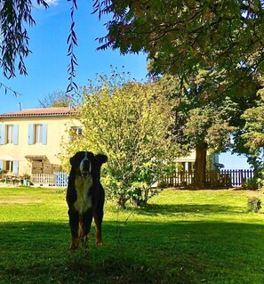 Áreas de la propiedad