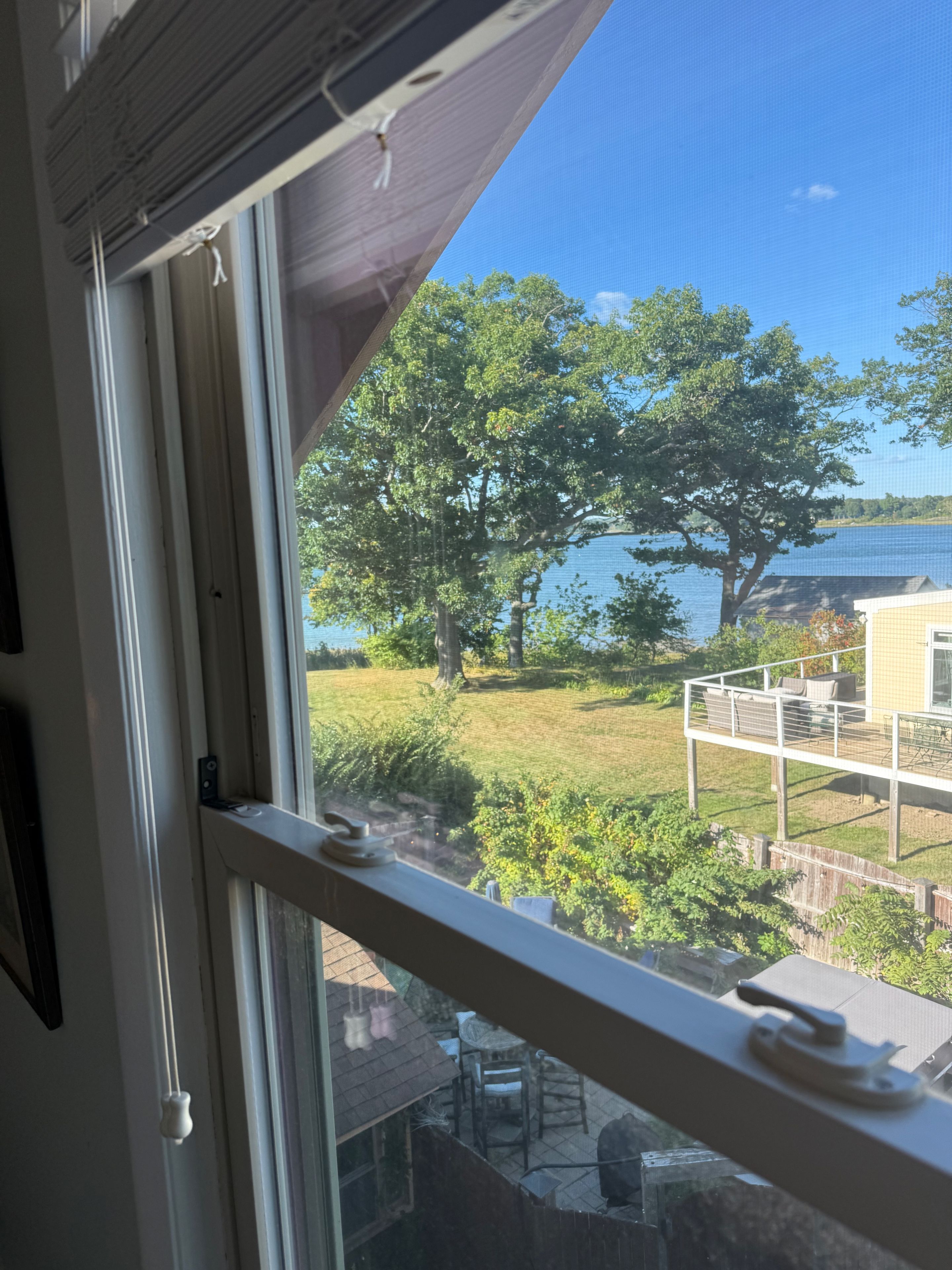 Et vindue med udsigt til en baghave, en patio og et stort træ.